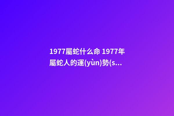 1977屬蛇什么命 1977年屬蛇人的運(yùn)勢(shì) 1977年屬蛇人的一生運(yùn)勢(shì)-第1張-觀點(diǎn)-玄機(jī)派